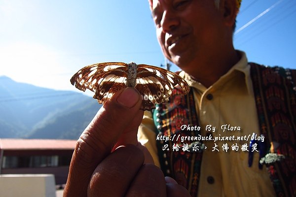 解說員大度.jpg