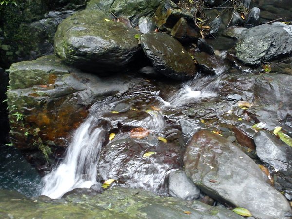 DSC00592.JPG