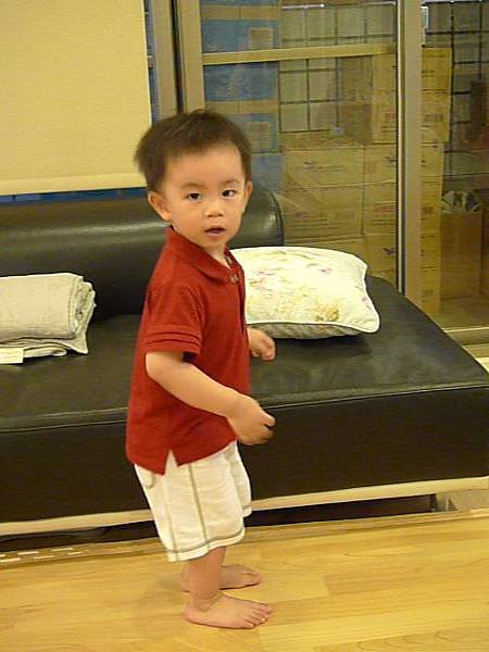 P1070110.jpg