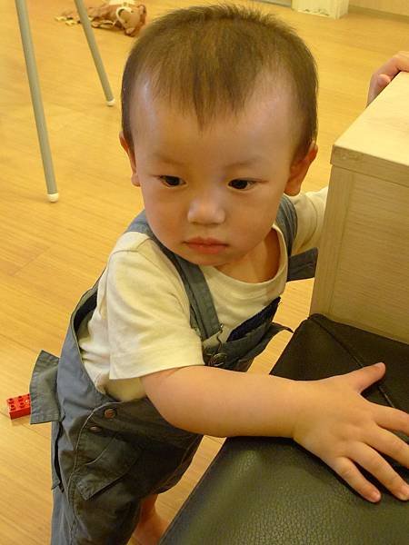 P1070115.jpg