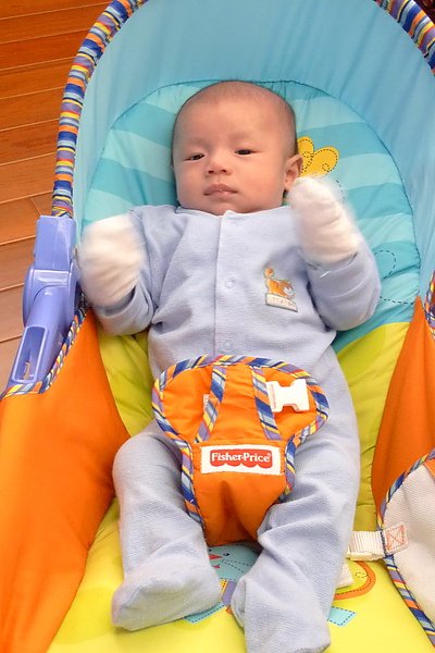 P1020194.jpg