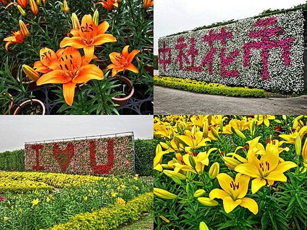 flowerjs01.jpg