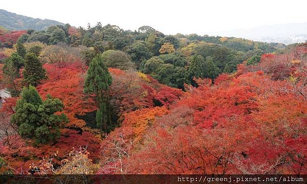 清水寺8