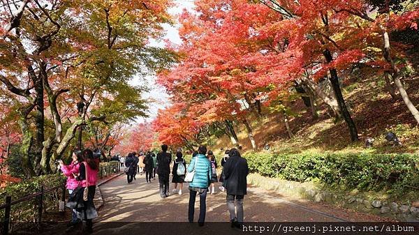 清水寺26