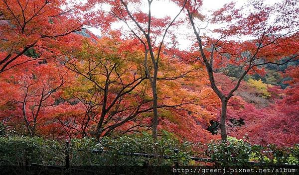 清水寺21