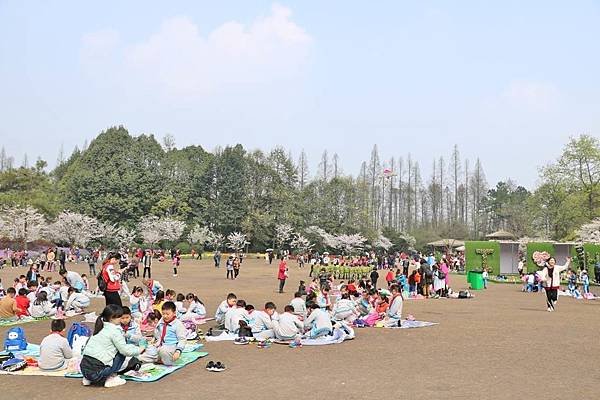太子灣公園18.jpg