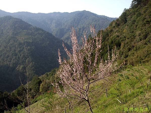 DSCF0113.JPG