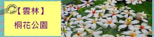 桐花公園.jpg