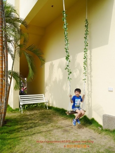 P8790346 (465x620).jpg