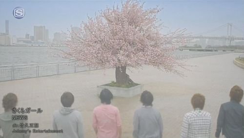 (PV) NEWS - Sakura girl.jpg