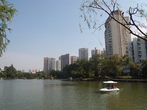 深圳公園 9