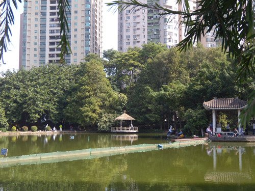 深圳公園 15