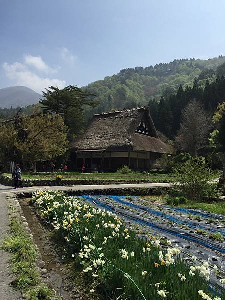 2016春-日本黑部立山之旅