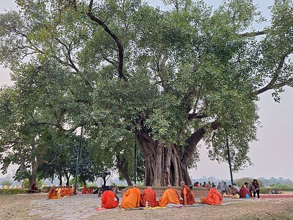 2023 尼泊爾朝聖之旅 第二站: 倫比尼 LUMBINI