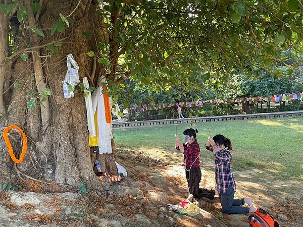 2023 尼泊爾朝聖之旅 第二站: 倫比尼 LUMBINI