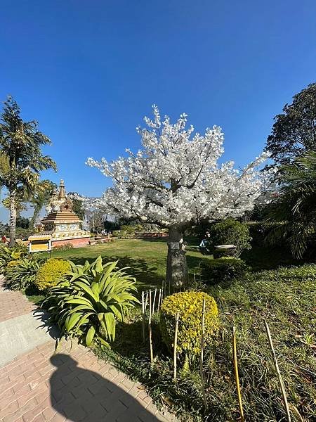 2023 尼泊爾朝聖之旅 第八站: 滿願塔．雪謙寺．柯槃寺 