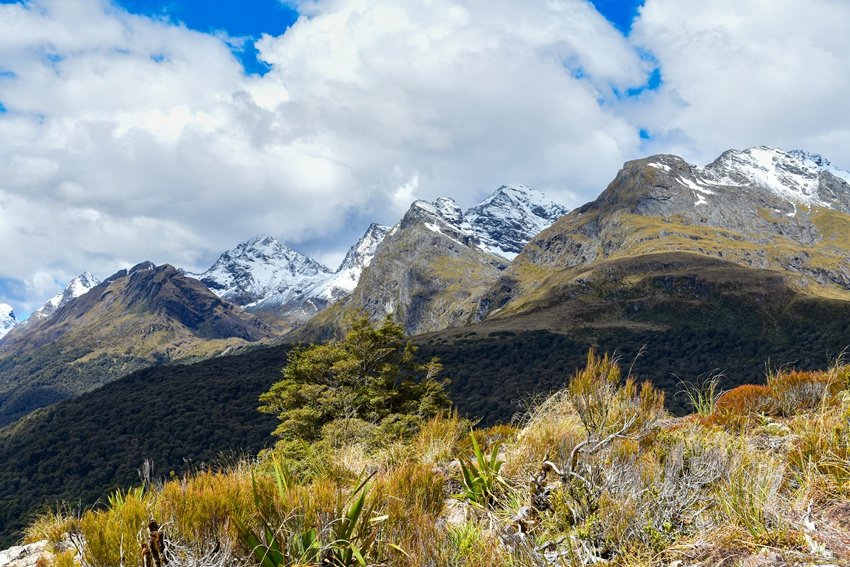 20191209-16-47-NINADSC_0397.jpg