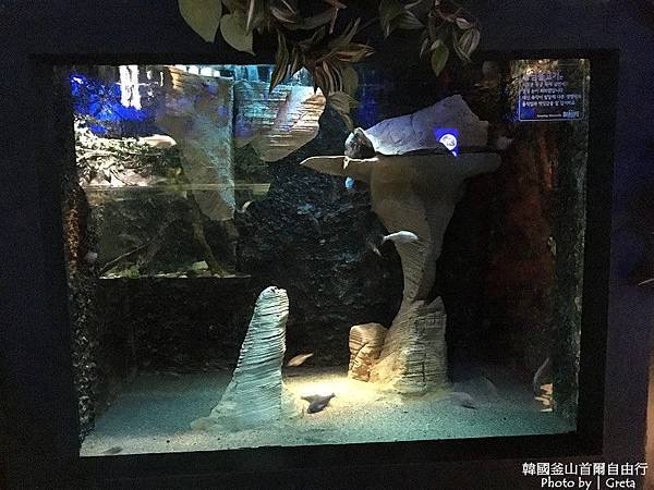 PhotoCap_009.jpg