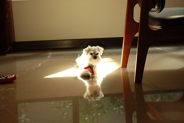 IMG_3618_縮小大小.JPG