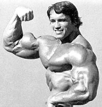 arnold-biceps-2.jpg