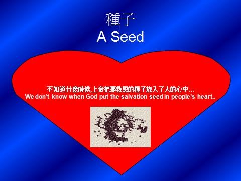 神的奇妙帶領2.jpg