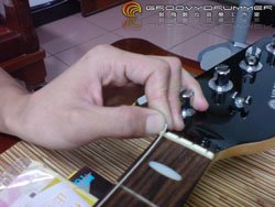 bass_strings08