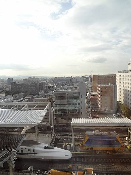 DSC07370.JPG
