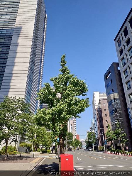 P_20210523_144757.jpg