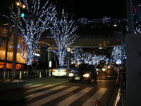 DSCF7648.JPG