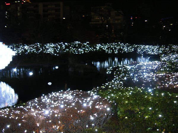 DSCF7657.JPG