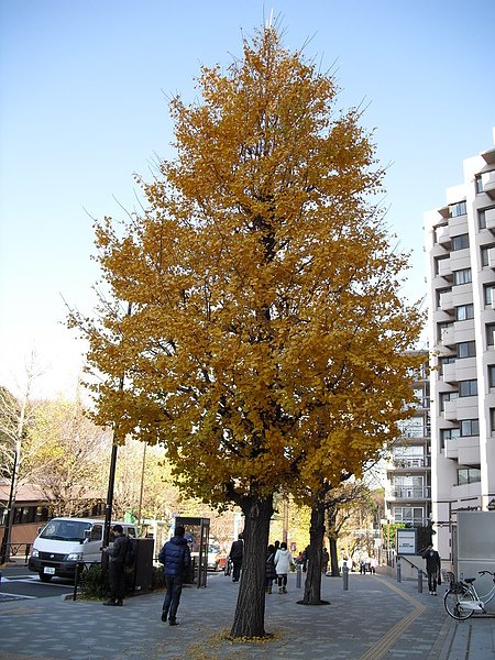 CIMG3589.JPG