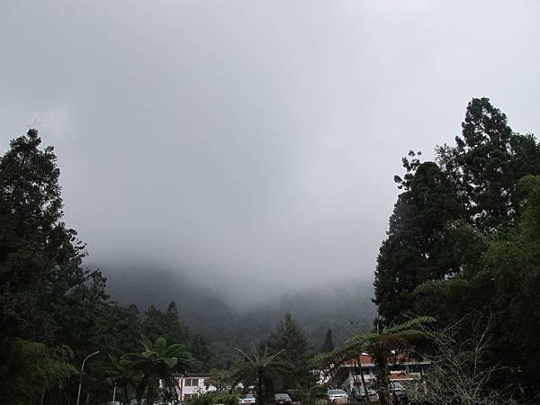 雲霧.JPG