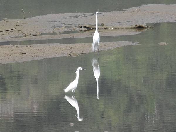 餓死鬼