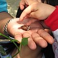 IMG_1913.JPG