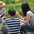 IMG_1938.JPG