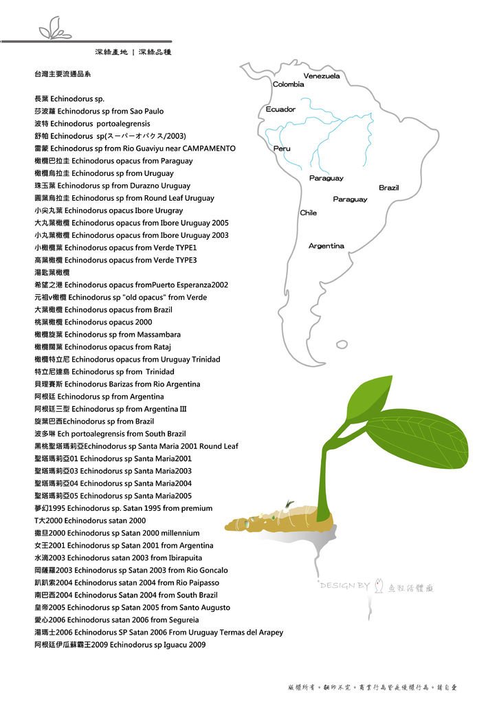 深綠品種產地酷蝦~~.jpg