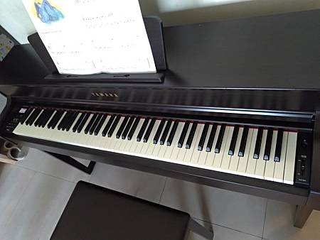 D 028.jpg