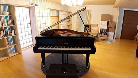 D 286.jpg