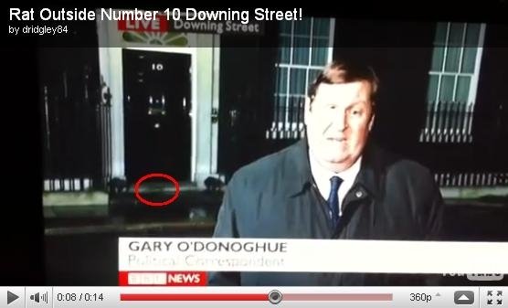BBC現場直播 赫見英首相官邸有大老鼠.jpg