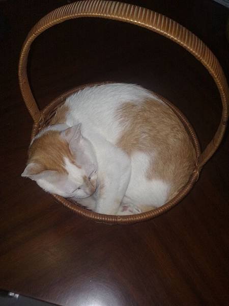 201109232121.jpg