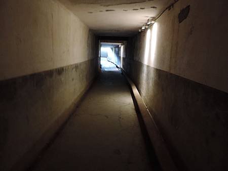 DSCN2290