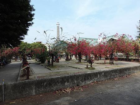 DSCN2291