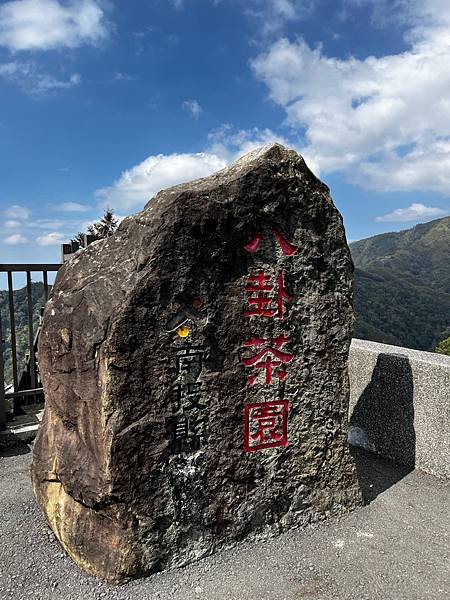 【南投竹山景點】八卦茶園昭和櫻花林-粉紅巨龍二月底三月初櫻花