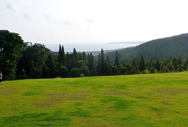 P1060254