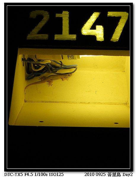 nEO_IMG_ZV_019.jpg
