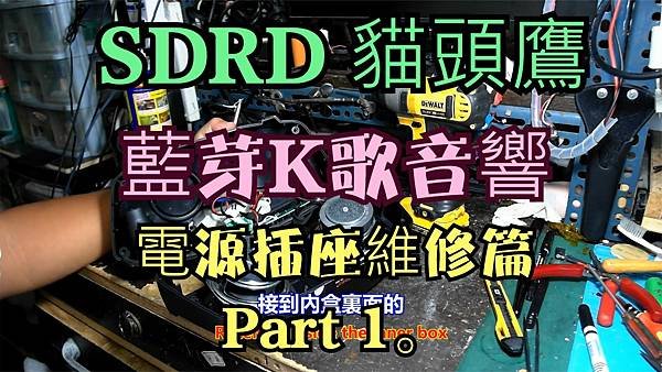 建生工坊 高雄 - 2024年 第023篇 - SDRD 貓