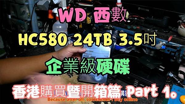 建生工坊 高雄 - 2024年 第036篇 - WD 西數 