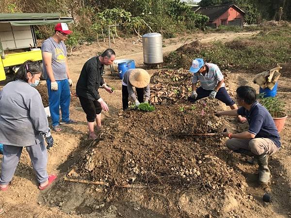 2021315蕃茄竹架_白鶴靈芝_210316_2.jpg