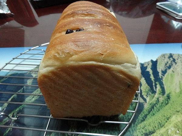 PhotoCap_014.jpg