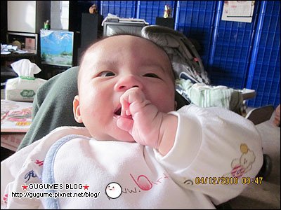 IMG_0452s.jpg